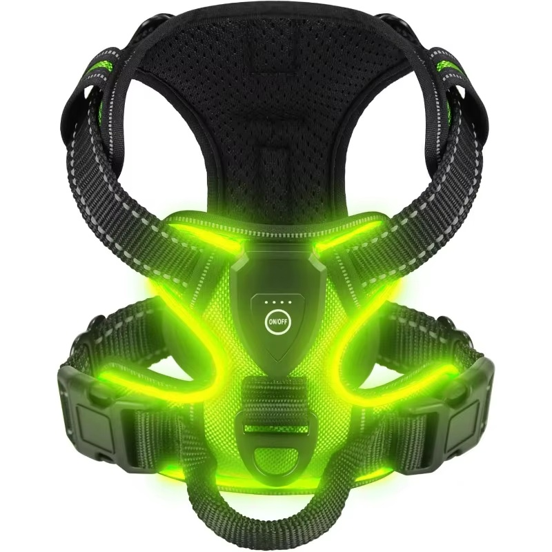 GlowVest LED dog safety harness lifestyle photo