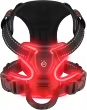 Dog wearing the GlowVest LED harness glowing in the dark