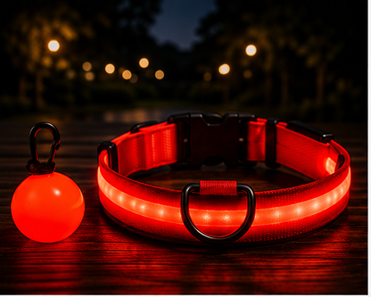 GlowCollar rechargeable LED dog collar in red